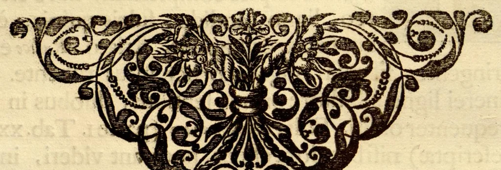 An illustration from Hortus Indicus Malabaricus ?continens regni Malabarici apud Indos cereberrimi onmis generis plantas rariores, Latinas, Malabaricis, Arabicis, Brachmanum charactareibus hominibusque expressas ... /adornatus per Henricum van Rheede, van Draakenstein, ... et Johannem Casearium ... ; notis adauxit, & commentariis illustravit Arnoldus Syen ..., 1678, leaf 189