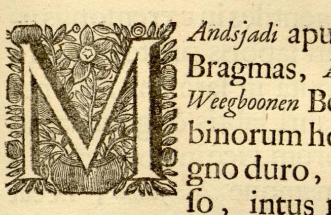 An illustration from Hortus Indicus Malabaricus ?continens regni Malabarici apud Indos cereberrimi onmis generis plantas rariores, Latinas, Malabaricis, Arabicis, Brachmanum charactareibus hominibusque expressas ... /adornatus per Henricum van Rheede, van Draakenstein, ... et Johannem Casearium ... ; notis adauxit, & commentariis illustravit Arnoldus Syen ..., 1678, leaf 213