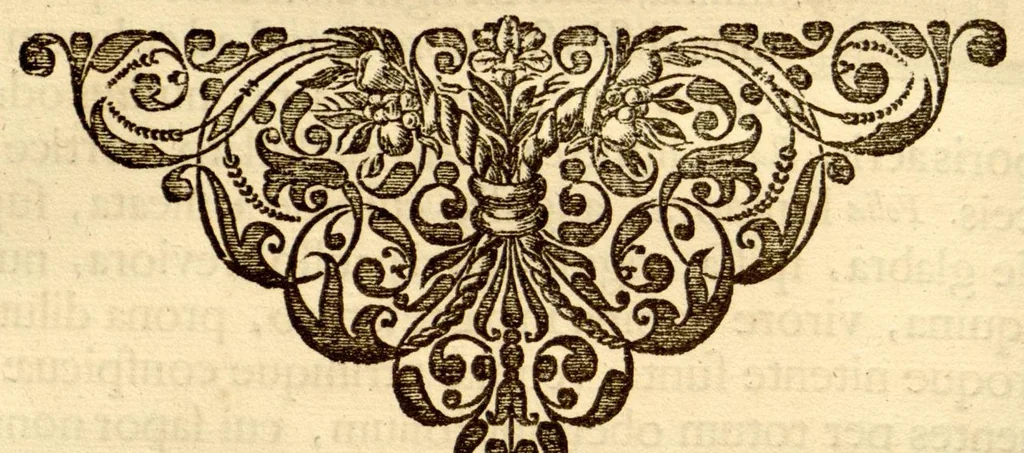 An illustration from Hortus Indicus Malabaricus ?continens regni Malabarici apud Indos cereberrimi onmis generis plantas rariores, Latinas, Malabaricis, Arabicis, Brachmanum charactareibus hominibusque expressas ... /adornatus per Henricum van Rheede, van Draakenstein, ... et Johannem Casearium ... ; notis adauxit, & commentariis illustravit Arnoldus Syen ..., 1678, leaf 237