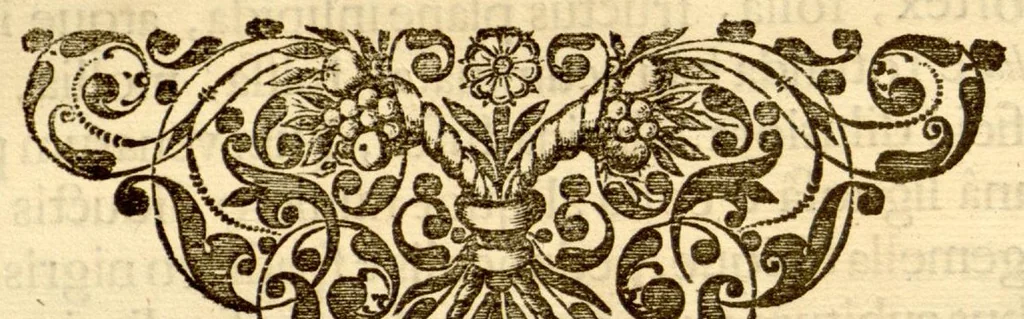 An illustration from Hortus Indicus Malabaricus ?continens regni Malabarici apud Indos cereberrimi onmis generis plantas rariores, Latinas, Malabaricis, Arabicis, Brachmanum charactareibus hominibusque expressas ... /adornatus per Henricum van Rheede, van Draakenstein, ... et Johannem Casearium ... ; notis adauxit, & commentariis illustravit Arnoldus Syen ..., 1678, leaf 242