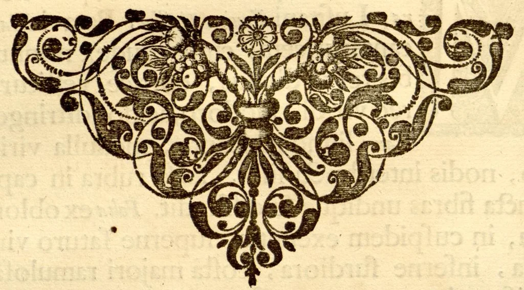 An illustration from Hortus Indicus Malabaricus ?continens regni Malabarici apud Indos cereberrimi onmis generis plantas rariores, Latinas, Malabaricis, Arabicis, Brachmanum charactareibus hominibusque expressas ... /adornatus per Henricum van Rheede, van Draakenstein, ... et Johannem Casearium ... ; notis adauxit, & commentariis illustravit Arnoldus Syen ..., 1678, leaf 248
