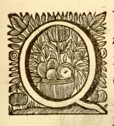An illustration from Hortus Indicus Malabaricus ?continens regni Malabarici apud Indos cereberrimi onmis generis plantas rariores, Latinas, Malabaricis, Arabicis, Brachmanum charactareibus hominibusque expressas ... /adornatus per Henricum van Rheede, van Draakenstein, ... et Johannem Casearium ... ; notis adauxit, & commentariis illustravit Arnoldus Syen ..., 1678, leaf 253