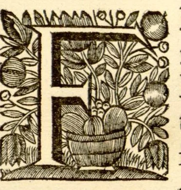 An illustration from Hortus Indicus Malabaricus ?continens regni Malabarici apud Indos cereberrimi onmis generis plantas rariores, Latinas, Malabaricis, Arabicis, Brachmanum charactareibus hominibusque expressas ... /adornatus per Henricum van Rheede, van Draakenstein, ... et Johannem Casearium ... ; notis adauxit, & commentariis illustravit Arnoldus Syen ..., 1678, leaf 284