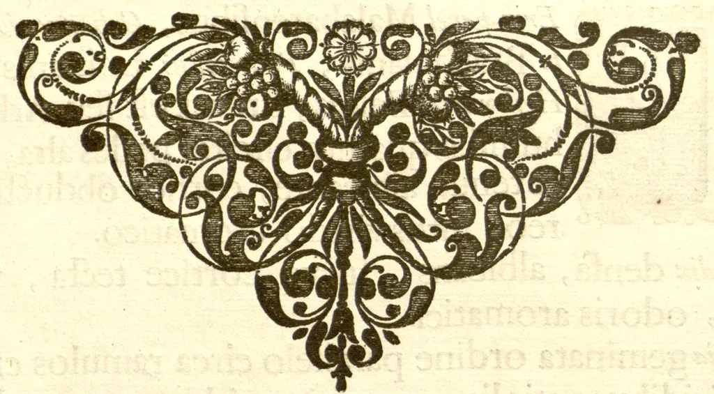 An illustration from Hortus Indicus Malabaricus ?continens regni Malabarici apud Indos cereberrimi onmis generis plantas rariores, Latinas, Malabaricis, Arabicis, Brachmanum charactareibus hominibusque expressas ... /adornatus per Henricum van Rheede, van Draakenstein, ... et Johannem Casearium ... ; notis adauxit, & commentariis illustravit Arnoldus Syen ..., 1678, leaf 44