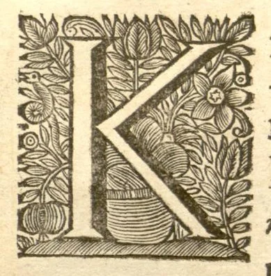 An illustration from Hortus Indicus Malabaricus ?continens regni Malabarici apud Indos cereberrimi onmis generis plantas rariores, Latinas, Malabaricis, Arabicis, Brachmanum charactareibus hominibusque expressas ... /adornatus per Henricum van Rheede, van Draakenstein, ... et Johannem Casearium ... ; notis adauxit, & commentariis illustravit Arnoldus Syen ..., 1678, leaf 48