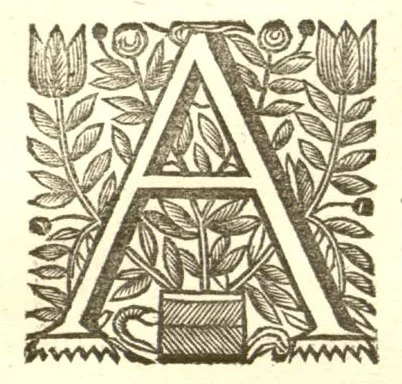 An illustration from Hortus Indicus Malabaricus ?continens regni Malabarici apud Indos cereberrimi onmis generis plantas rariores, Latinas, Malabaricis, Arabicis, Brachmanum charactareibus hominibusque expressas ... /adornatus per Henricum van Rheede, van Draakenstein, ... et Johannem Casearium ... ; notis adauxit, & commentariis illustravit Arnoldus Syen ..., 1678, leaf 52