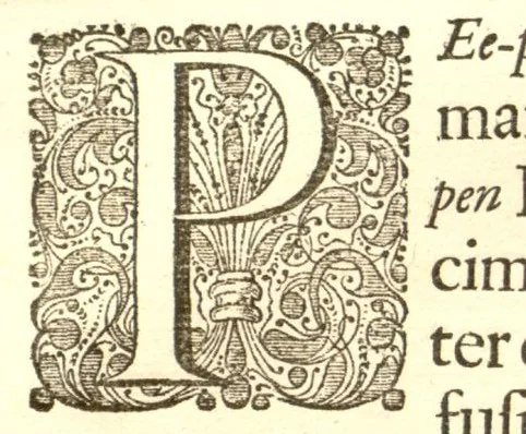 An illustration from Hortus Indicus Malabaricus ?continens regni Malabarici apud Indos cereberrimi onmis generis plantas rariores, Latinas, Malabaricis, Arabicis, Brachmanum charactareibus hominibusque expressas ... /adornatus per Henricum van Rheede, van Draakenstein, ... et Johannem Casearium ... ; notis adauxit, & commentariis illustravit Arnoldus Syen ..., 1678, leaf 64