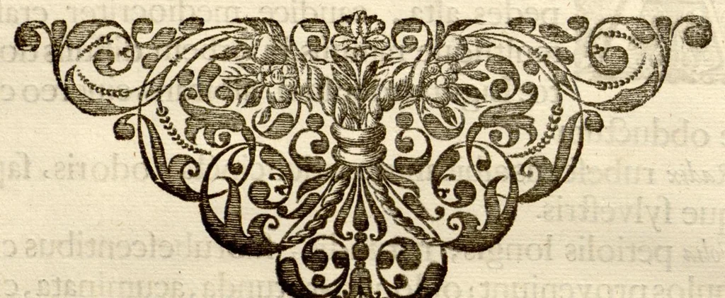 An illustration from Hortus Indicus Malabaricus ?continens regni Malabarici apud Indos cereberrimi onmis generis plantas rariores, Latinas, Malabaricis, Arabicis, Brachmanum charactareibus hominibusque expressas ... /adornatus per Henricum van Rheede, van Draakenstein, ... et Johannem Casearium ... ; notis adauxit, & commentariis illustravit Arnoldus Syen ..., 1678, leaf 70