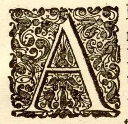 An illustration from Hortus Indicus Malabaricus ?continens regni Malabarici apud Indos cereberrimi onmis generis plantas rariores, Latinas, Malabaricis, Arabicis, Brachmanum charactareibus hominibusque expressas ... /adornatus per Henricum van Rheede, van Draakenstein, ... et Johannem Casearium ... ; notis adauxit, & commentariis illustravit Arnoldus Syen ..., 1678, leaf 82