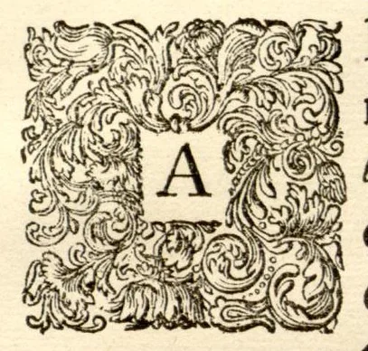 An illustration from Hortus Indicus Malabaricus ?continens regni Malabarici apud Indos cereberrimi onmis generis plantas rariores, Latinas, Malabaricis, Arabicis, Brachmanum charactareibus hominibusque expressas ... /adornatus per Henricum van Rheede, van Draakenstein, ... et Johannem Casearium ... ; notis adauxit, & commentariis illustravit Arnoldus Syen ..., 1678, leaf 89
