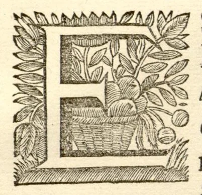 An illustration from Hortus Indicus Malabaricus ?continens regni Malabarici apud Indos cereberrimi onmis generis plantas rariores, Latinas, Malabaricis, Arabicis, Brachmanum charactareibus hominibusque expressas ... /adornatus per Henricum van Rheede, van Draakenstein, ... et Johannem Casearium ... ; notis adauxit, & commentariis illustravit Arnoldus Syen ..., 1678, leaf 91