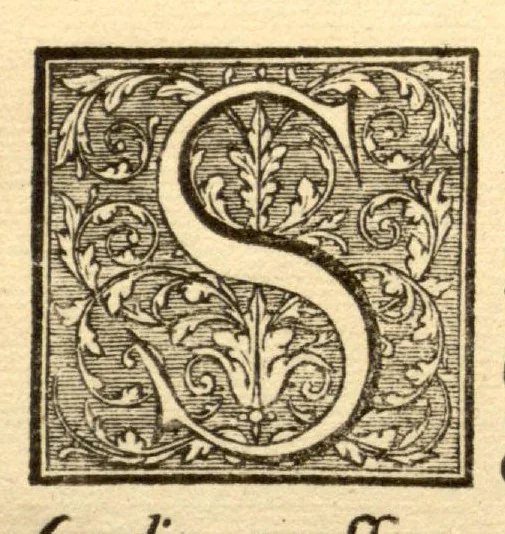 An illustration from Hortus Indicus Malabaricus ?continens regni Malabarici apud Indos cereberrimi onmis generis plantas rariores, Latinas, Malabaricis, Arabicis, Brachmanum charactareibus hominibusque expressas ... /adornatus per Henricum van Rheede, van Draakenstein, ... et Johannem Casearium ... ; notis adauxit, & commentariis illustravit Arnoldus Syen ..., 1678, leaf 13