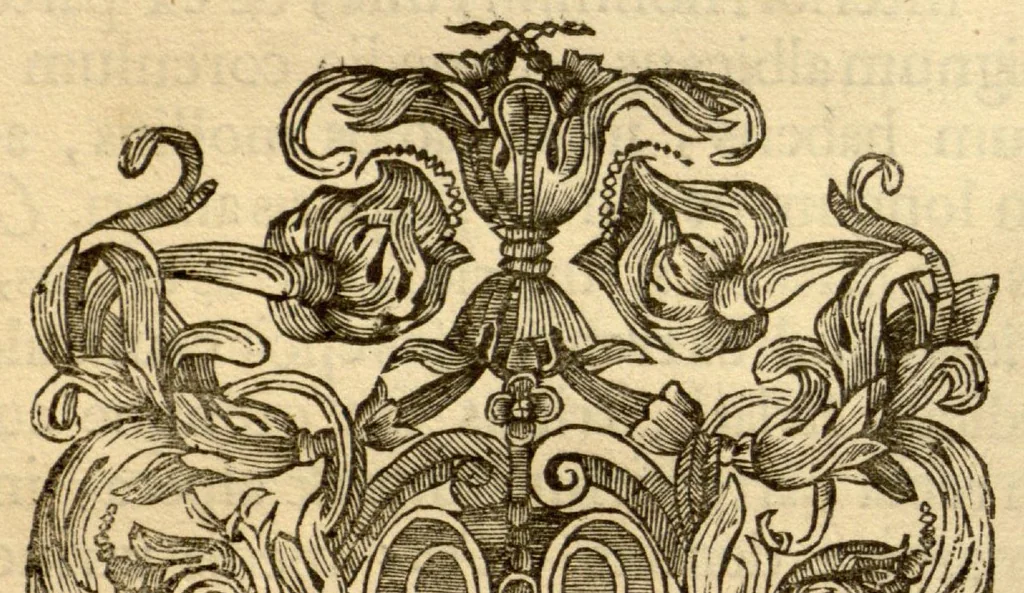 An illustration from Hortus Indicus Malabaricus ?continens regni Malabarici apud Indos cereberrimi onmis generis plantas rariores, Latinas, Malabaricis, Arabicis, Brachmanum charactareibus hominibusque expressas ... /adornatus per Henricum van Rheede, van Draakenstein, ... et Johannem Casearium ... ; notis adauxit, & commentariis illustravit Arnoldus Syen ..., 1678, leaf 148