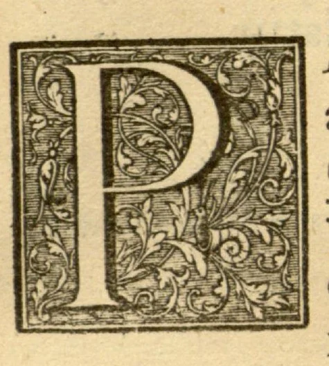 An illustration from Hortus Indicus Malabaricus ?continens regni Malabarici apud Indos cereberrimi onmis generis plantas rariores, Latinas, Malabaricis, Arabicis, Brachmanum charactareibus hominibusque expressas ... /adornatus per Henricum van Rheede, van Draakenstein, ... et Johannem Casearium ... ; notis adauxit, & commentariis illustravit Arnoldus Syen ..., 1678, leaf 154