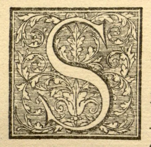 An illustration from Hortus Indicus Malabaricus ?continens regni Malabarici apud Indos cereberrimi onmis generis plantas rariores, Latinas, Malabaricis, Arabicis, Brachmanum charactareibus hominibusque expressas ... /adornatus per Henricum van Rheede, van Draakenstein, ... et Johannem Casearium ... ; notis adauxit, & commentariis illustravit Arnoldus Syen ..., 1678, leaf 16