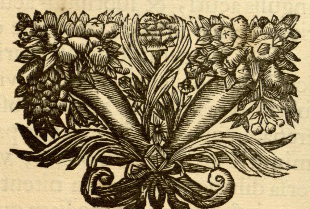 An illustration from Hortus Indicus Malabaricus ?continens regni Malabarici apud Indos cereberrimi onmis generis plantas rariores, Latinas, Malabaricis, Arabicis, Brachmanum charactareibus hominibusque expressas ... /adornatus per Henricum van Rheede, van Draakenstein, ... et Johannem Casearium ... ; notis adauxit, & commentariis illustravit Arnoldus Syen ..., 1678, leaf 170