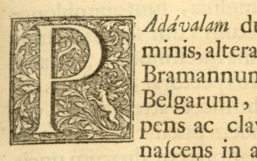 An illustration from Hortus Indicus Malabaricus ?continens regni Malabarici apud Indos cereberrimi onmis generis plantas rariores, Latinas, Malabaricis, Arabicis, Brachmanum charactareibus hominibusque expressas ... /adornatus per Henricum van Rheede, van Draakenstein, ... et Johannem Casearium ... ; notis adauxit, & commentariis illustravit Arnoldus Syen ..., 1678, leaf 175