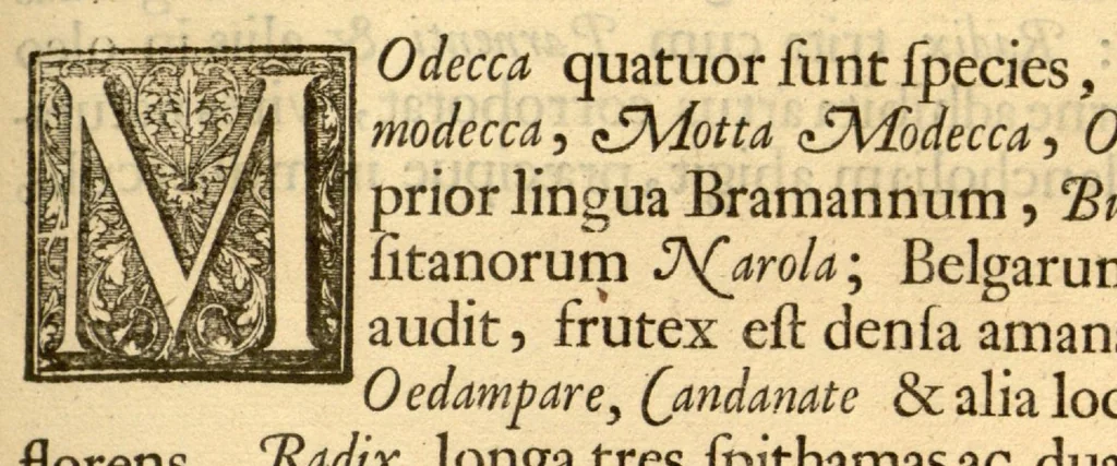 An illustration from Hortus Indicus Malabaricus ?continens regni Malabarici apud Indos cereberrimi onmis generis plantas rariores, Latinas, Malabaricis, Arabicis, Brachmanum charactareibus hominibusque expressas ... /adornatus per Henricum van Rheede, van Draakenstein, ... et Johannem Casearium ... ; notis adauxit, & commentariis illustravit Arnoldus Syen ..., 1678, leaf 188