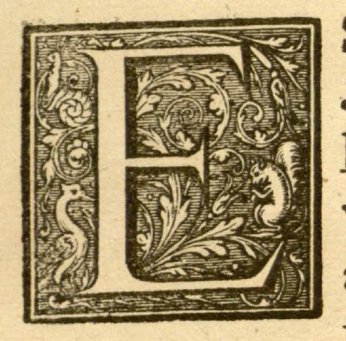An illustration from Hortus Indicus Malabaricus ?continens regni Malabarici apud Indos cereberrimi onmis generis plantas rariores, Latinas, Malabaricis, Arabicis, Brachmanum charactareibus hominibusque expressas ... /adornatus per Henricum van Rheede, van Draakenstein, ... et Johannem Casearium ... ; notis adauxit, & commentariis illustravit Arnoldus Syen ..., 1678, leaf 193