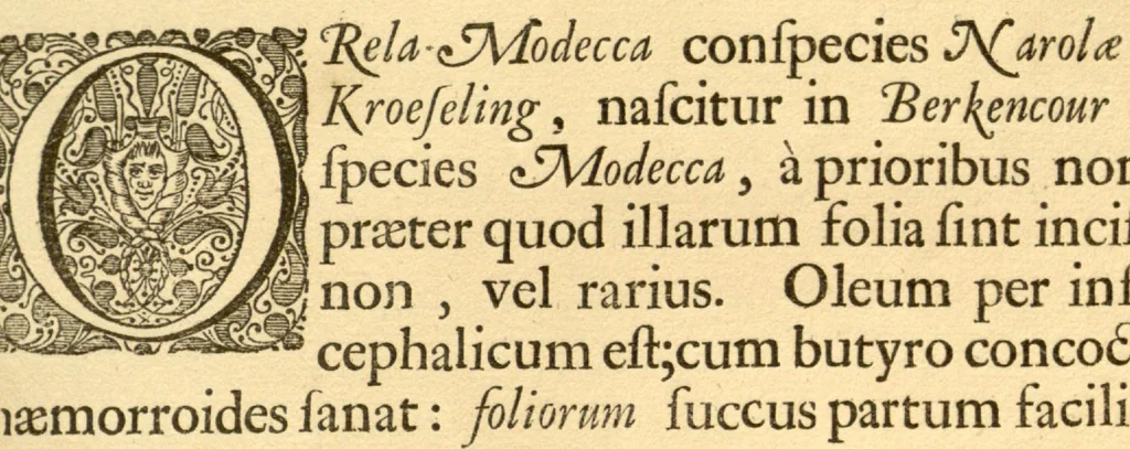 An illustration from Hortus Indicus Malabaricus ?continens regni Malabarici apud Indos cereberrimi onmis generis plantas rariores, Latinas, Malabaricis, Arabicis, Brachmanum charactareibus hominibusque expressas ... /adornatus per Henricum van Rheede, van Draakenstein, ... et Johannem Casearium ... ; notis adauxit, & commentariis illustravit Arnoldus Syen ..., 1678, leaf 195