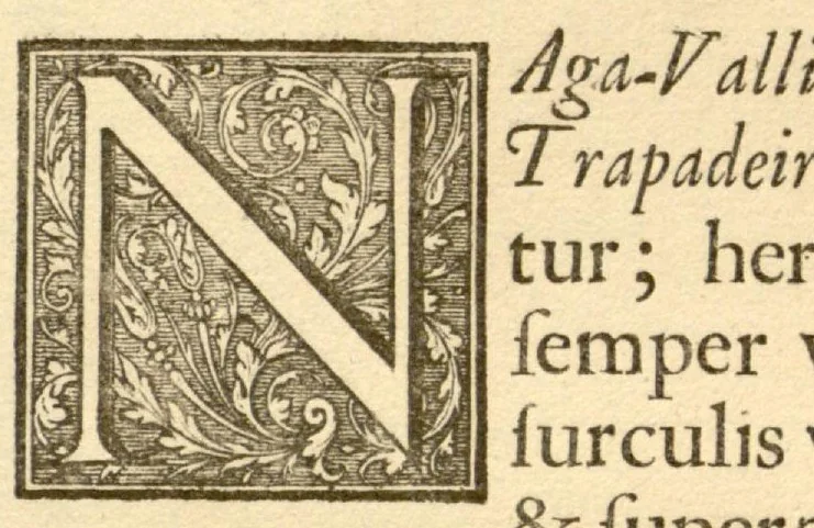 An illustration from Hortus Indicus Malabaricus ?continens regni Malabarici apud Indos cereberrimi onmis generis plantas rariores, Latinas, Malabaricis, Arabicis, Brachmanum charactareibus hominibusque expressas ... /adornatus per Henricum van Rheede, van Draakenstein, ... et Johannem Casearium ... ; notis adauxit, & commentariis illustravit Arnoldus Syen ..., 1678, leaf 208