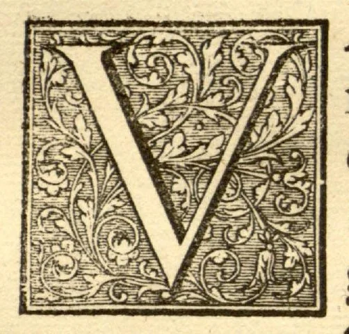 An illustration from Hortus Indicus Malabaricus ?continens regni Malabarici apud Indos cereberrimi onmis generis plantas rariores, Latinas, Malabaricis, Arabicis, Brachmanum charactareibus hominibusque expressas ... /adornatus per Henricum van Rheede, van Draakenstein, ... et Johannem Casearium ... ; notis adauxit, & commentariis illustravit Arnoldus Syen ..., 1678, leaf 21