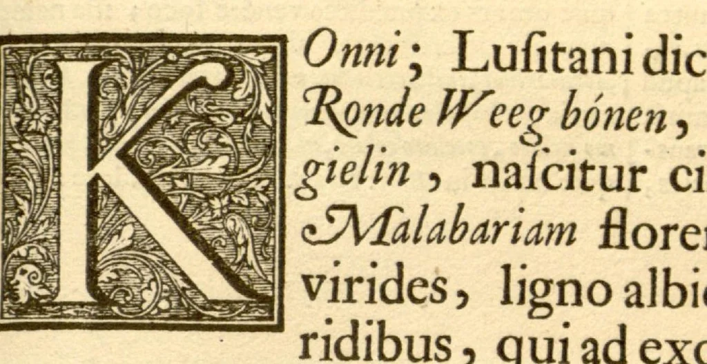 An illustration from Hortus Indicus Malabaricus ?continens regni Malabarici apud Indos cereberrimi onmis generis plantas rariores, Latinas, Malabaricis, Arabicis, Brachmanum charactareibus hominibusque expressas ... /adornatus per Henricum van Rheede, van Draakenstein, ... et Johannem Casearium ... ; notis adauxit, & commentariis illustravit Arnoldus Syen ..., 1678, leaf 231