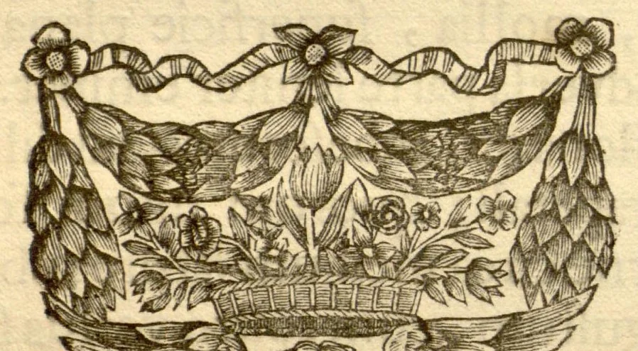 An illustration from Hortus Indicus Malabaricus ?continens regni Malabarici apud Indos cereberrimi onmis generis plantas rariores, Latinas, Malabaricis, Arabicis, Brachmanum charactareibus hominibusque expressas ... /adornatus per Henricum van Rheede, van Draakenstein, ... et Johannem Casearium ... ; notis adauxit, & commentariis illustravit Arnoldus Syen ..., 1678, leaf 232