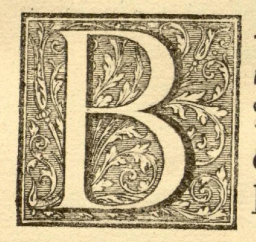 An illustration from Hortus Indicus Malabaricus ?continens regni Malabarici apud Indos cereberrimi onmis generis plantas rariores, Latinas, Malabaricis, Arabicis, Brachmanum charactareibus hominibusque expressas ... /adornatus per Henricum van Rheede, van Draakenstein, ... et Johannem Casearium ... ; notis adauxit, & commentariis illustravit Arnoldus Syen ..., 1678, leaf 25