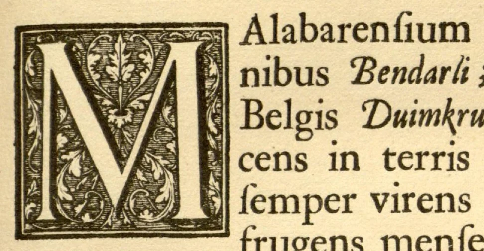 An illustration from Hortus Indicus Malabaricus ?continens regni Malabarici apud Indos cereberrimi onmis generis plantas rariores, Latinas, Malabaricis, Arabicis, Brachmanum charactareibus hominibusque expressas ... /adornatus per Henricum van Rheede, van Draakenstein, ... et Johannem Casearium ... ; notis adauxit, & commentariis illustravit Arnoldus Syen ..., 1678, leaf 68
