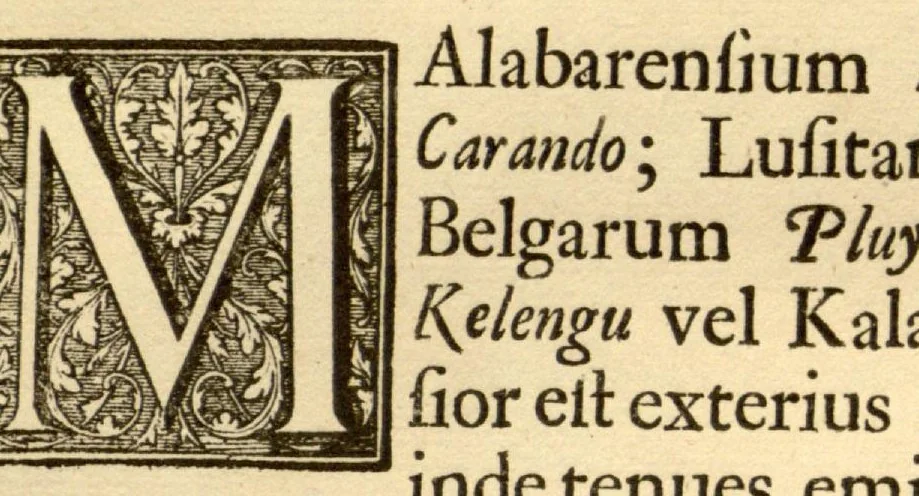An illustration from Hortus Indicus Malabaricus ?continens regni Malabarici apud Indos cereberrimi onmis generis plantas rariores, Latinas, Malabaricis, Arabicis, Brachmanum charactareibus hominibusque expressas ... /adornatus per Henricum van Rheede, van Draakenstein, ... et Johannem Casearium ... ; notis adauxit, & commentariis illustravit Arnoldus Syen ..., 1678, leaf 87