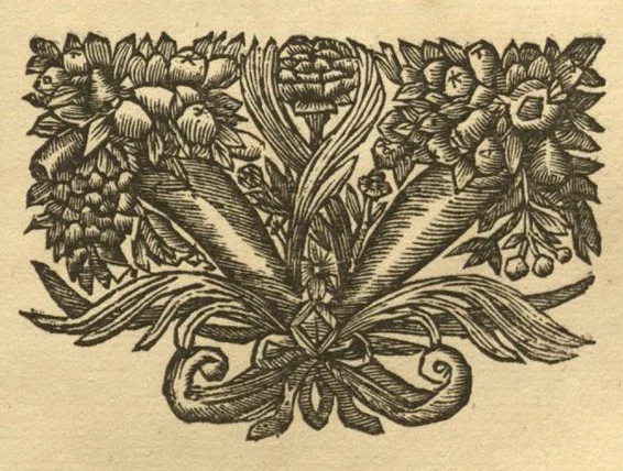 An illustration from Hortus Indicus Malabaricus ?continens regni Malabarici apud Indos cereberrimi onmis generis plantas rariores, Latinas, Malabaricis, Arabicis, Brachmanum charactareibus hominibusque expressas ... /adornatus per Henricum van Rheede, van Draakenstein, ... et Johannem Casearium ... ; notis adauxit, & commentariis illustravit Arnoldus Syen ..., 1678, leaf 191