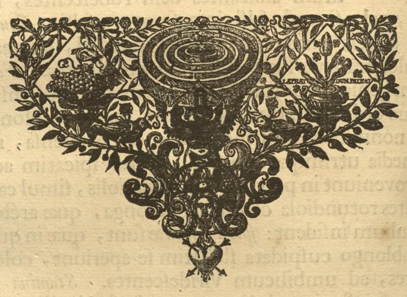 An illustration from Hortus Indicus Malabaricus ?continens regni Malabarici apud Indos cereberrimi onmis generis plantas rariores, Latinas, Malabaricis, Arabicis, Brachmanum charactareibus hominibusque expressas ... /adornatus per Henricum van Rheede, van Draakenstein, ... et Johannem Casearium ... ; notis adauxit, & commentariis illustravit Arnoldus Syen ..., 1678, leaf 234