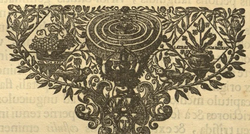 An illustration from Hortus Indicus Malabaricus ?continens regni Malabarici apud Indos cereberrimi onmis generis plantas rariores, Latinas, Malabaricis, Arabicis, Brachmanum charactareibus hominibusque expressas ... /adornatus per Henricum van Rheede, van Draakenstein, ... et Johannem Casearium ... ; notis adauxit, & commentariis illustravit Arnoldus Syen ..., 1678, leaf 295