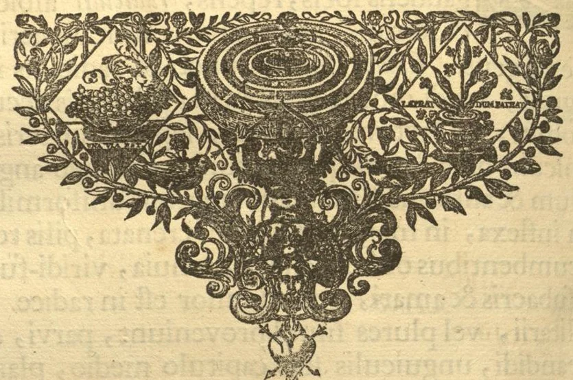 An illustration from Hortus Indicus Malabaricus ?continens regni Malabarici apud Indos cereberrimi onmis generis plantas rariores, Latinas, Malabaricis, Arabicis, Brachmanum charactareibus hominibusque expressas ... /adornatus per Henricum van Rheede, van Draakenstein, ... et Johannem Casearium ... ; notis adauxit, & commentariis illustravit Arnoldus Syen ..., 1678, leaf 298