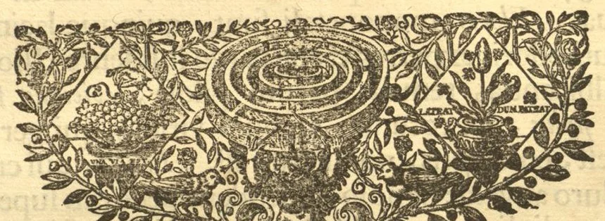 An illustration from Hortus Indicus Malabaricus ?continens regni Malabarici apud Indos cereberrimi onmis generis plantas rariores, Latinas, Malabaricis, Arabicis, Brachmanum charactareibus hominibusque expressas ... /adornatus per Henricum van Rheede, van Draakenstein, ... et Johannem Casearium ... ; notis adauxit, & commentariis illustravit Arnoldus Syen ..., 1678, leaf 363