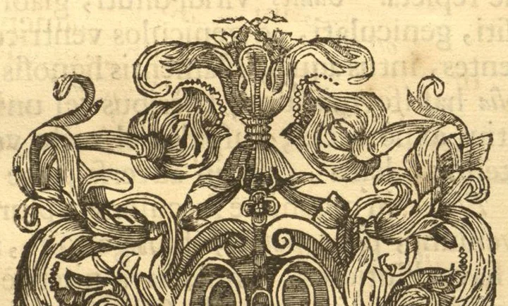 An illustration from Hortus Indicus Malabaricus ?continens regni Malabarici apud Indos cereberrimi onmis generis plantas rariores, Latinas, Malabaricis, Arabicis, Brachmanum charactareibus hominibusque expressas ... /adornatus per Henricum van Rheede, van Draakenstein, ... et Johannem Casearium ... ; notis adauxit, & commentariis illustravit Arnoldus Syen ..., 1678, leaf 370