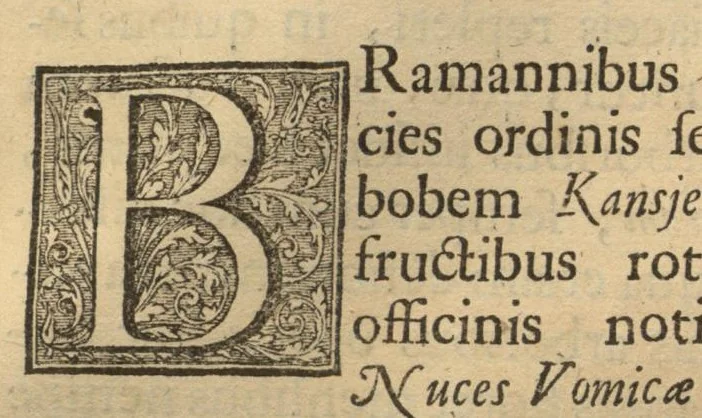 An illustration from Hortus Indicus Malabaricus ?continens regni Malabarici apud Indos cereberrimi onmis generis plantas rariores, Latinas, Malabaricis, Arabicis, Brachmanum charactareibus hominibusque expressas ... /adornatus per Henricum van Rheede, van Draakenstein, ... et Johannem Casearium ... ; notis adauxit, & commentariis illustravit Arnoldus Syen ..., 1678, leaf 178