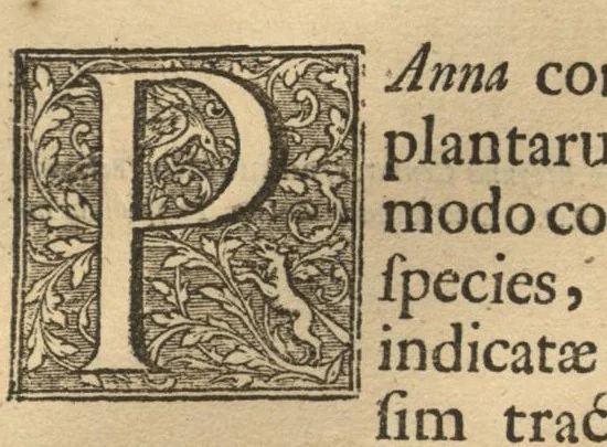 An illustration from Hortus Indicus Malabaricus ?continens regni Malabarici apud Indos cereberrimi onmis generis plantas rariores, Latinas, Malabaricis, Arabicis, Brachmanum charactareibus hominibusque expressas ... /adornatus per Henricum van Rheede, van Draakenstein, ... et Johannem Casearium ... ; notis adauxit, & commentariis illustravit Arnoldus Syen ..., 1678, leaf 186