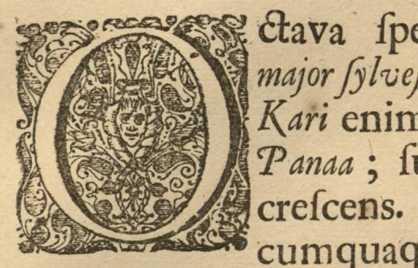 An illustration from Hortus Indicus Malabaricus ?continens regni Malabarici apud Indos cereberrimi onmis generis plantas rariores, Latinas, Malabaricis, Arabicis, Brachmanum charactareibus hominibusque expressas ... /adornatus per Henricum van Rheede, van Draakenstein, ... et Johannem Casearium ... ; notis adauxit, & commentariis illustravit Arnoldus Syen ..., 1678, leaf 200