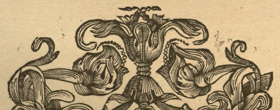 An illustration from Hortus Indicus Malabaricus ?continens regni Malabarici apud Indos cereberrimi onmis generis plantas rariores, Latinas, Malabaricis, Arabicis, Brachmanum charactareibus hominibusque expressas ... /adornatus per Henricum van Rheede, van Draakenstein, ... et Johannem Casearium ... ; notis adauxit, & commentariis illustravit Arnoldus Syen ..., 1678, leaf 243