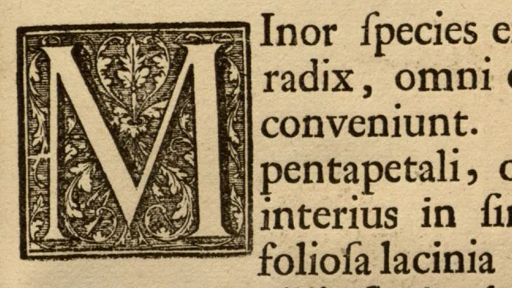 An illustration from Hortus Indicus Malabaricus ?continens regni Malabarici apud Indos cereberrimi onmis generis plantas rariores, Latinas, Malabaricis, Arabicis, Brachmanum charactareibus hominibusque expressas ... /adornatus per Henricum van Rheede, van Draakenstein, ... et Johannem Casearium ... ; notis adauxit, & commentariis illustravit Arnoldus Syen ..., 1678, leaf 70