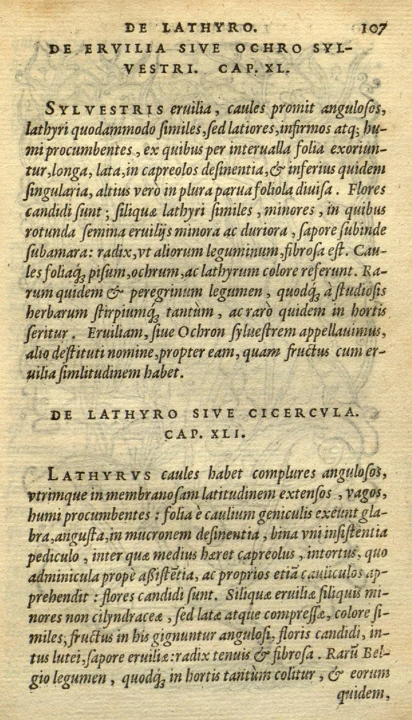 An illustration from Frumentorum, Leguminum, palustrium et aquatilium herbarum,ac eorum, quae eo? pertinent, historia? Remberto Dodonaeo Mechliniensi Medico auctore..., 1566, leaf 106
