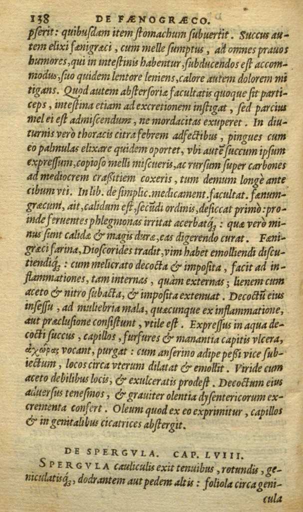 An illustration from Frumentorum, Leguminum, palustrium et aquatilium herbarum,ac eorum, quae eo? pertinent, historia? Remberto Dodonaeo Mechliniensi Medico auctore..., 1566, leaf 137