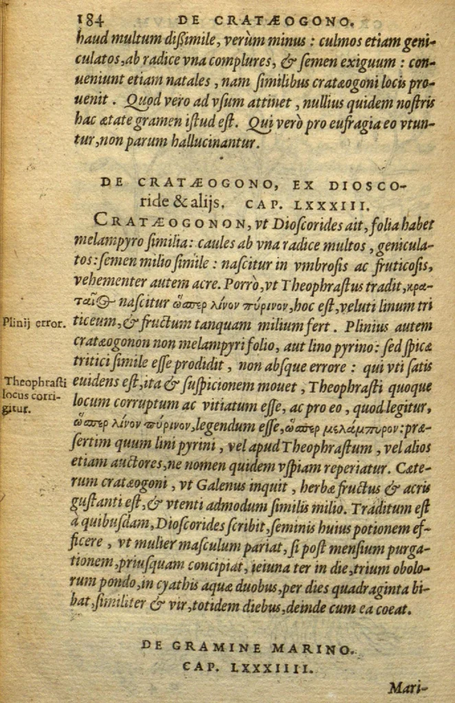 An illustration from Frumentorum, Leguminum, palustrium et aquatilium herbarum,ac eorum, quae eo? pertinent, historia? Remberto Dodonaeo Mechliniensi Medico auctore..., 1566, leaf 183