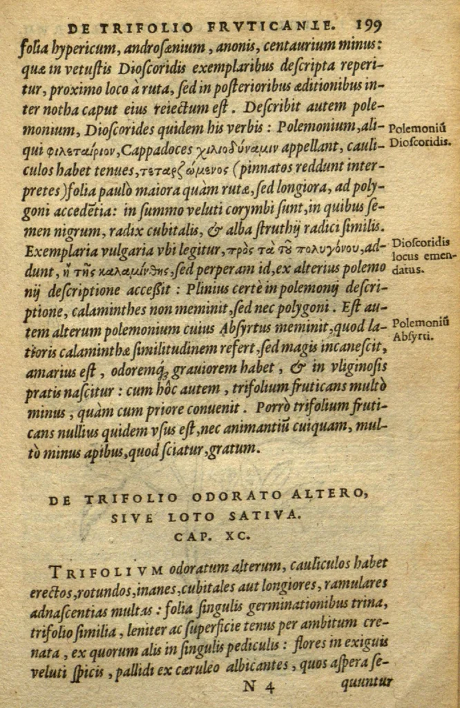 An illustration from Frumentorum, Leguminum, palustrium et aquatilium herbarum,ac eorum, quae eo? pertinent, historia? Remberto Dodonaeo Mechliniensi Medico auctore..., 1566, leaf 198