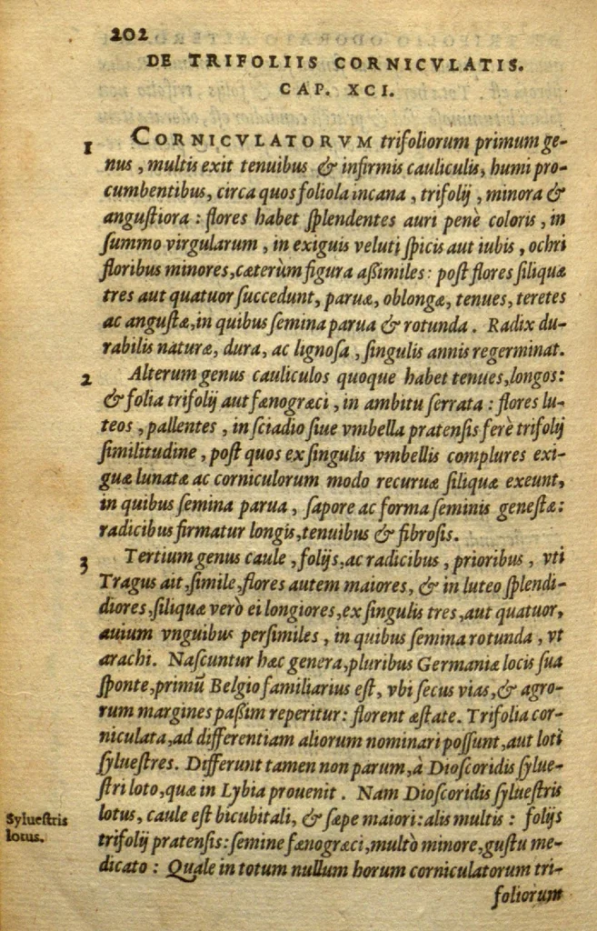 An illustration from Frumentorum, Leguminum, palustrium et aquatilium herbarum,ac eorum, quae eo? pertinent, historia? Remberto Dodonaeo Mechliniensi Medico auctore..., 1566, leaf 201