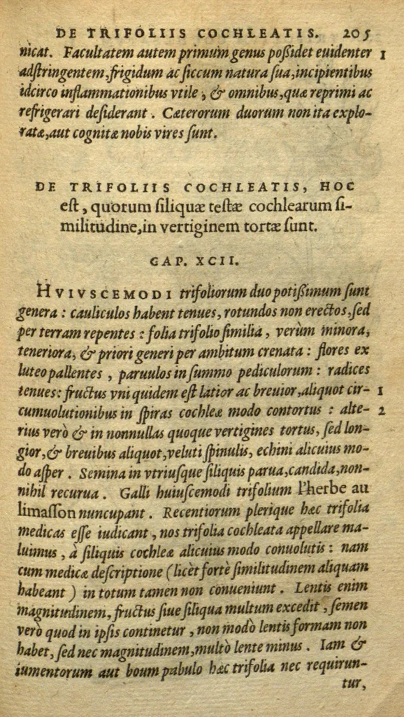An illustration from Frumentorum, Leguminum, palustrium et aquatilium herbarum,ac eorum, quae eo? pertinent, historia? Remberto Dodonaeo Mechliniensi Medico auctore..., 1566, leaf 204