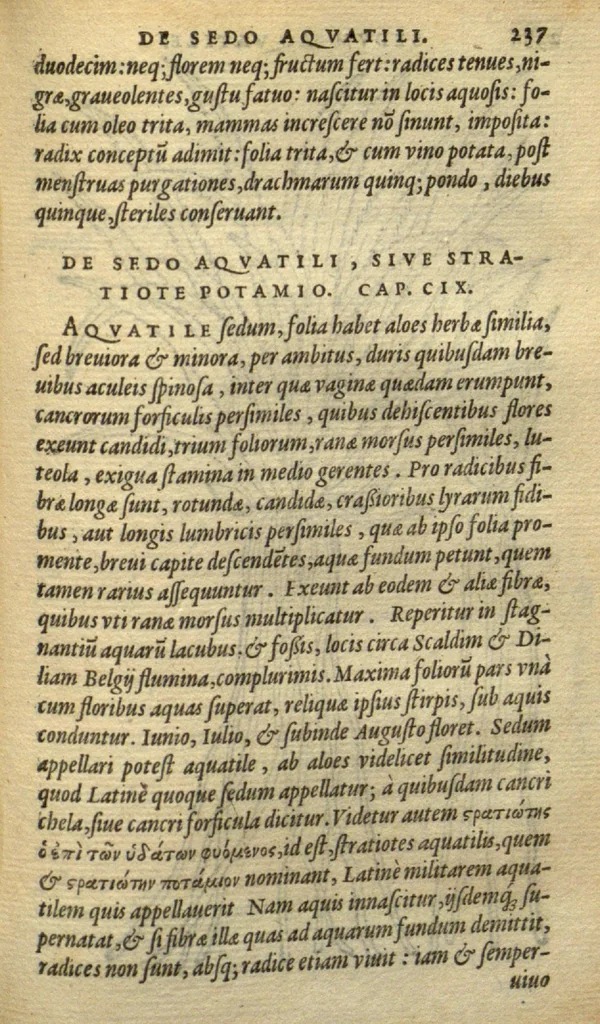 An illustration from Frumentorum, Leguminum, palustrium et aquatilium herbarum,ac eorum, quae eo? pertinent, historia? Remberto Dodonaeo Mechliniensi Medico auctore..., 1566, leaf 236
