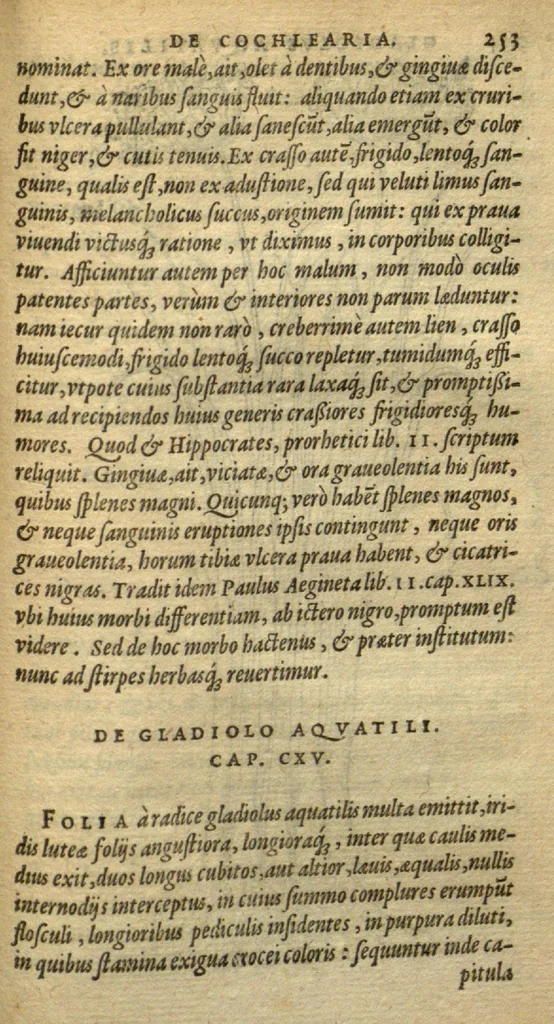 An illustration from Frumentorum, Leguminum, palustrium et aquatilium herbarum,ac eorum, quae eo? pertinent, historia? Remberto Dodonaeo Mechliniensi Medico auctore..., 1566, leaf 252